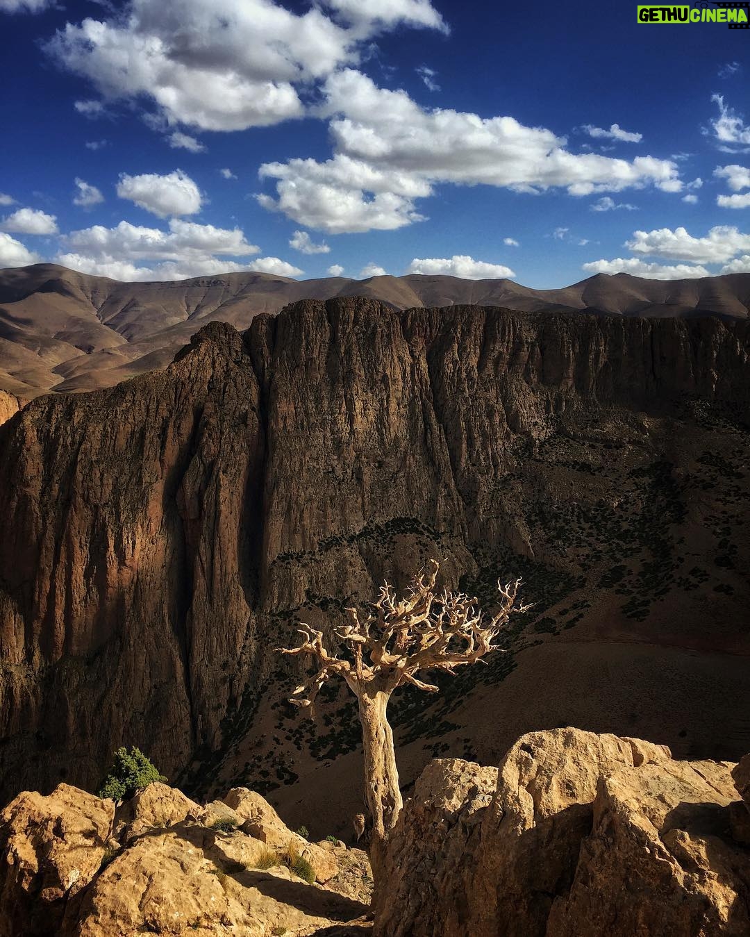 Jimmy Chin Instagram - I’ve never been one to photograph trees much, although I appreciate them deeply, especially after spending months above tree line on expeditions. When we spent a month in Taghia, I couldn’t help noticing the endlessly fascinating Moroccan Juniper trees surviving on the harshest cliff sides. So here they are: a couple of my rare photos of trees. Taghia, Atlas Mountains, Morocco. Prints available at link in profile.