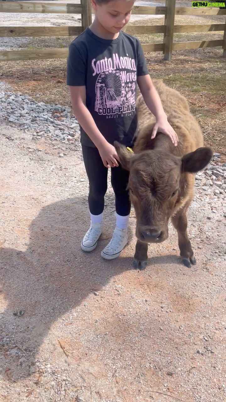 JoAnna Garcia Instagram - ☀️Sunday Things ☀️ Feeling very grateful for today. We got our hands dirty, played with mini moo’s, spent time with wonderful people, and got some much needed tlc. This week we were reminded of how fragile life is and a life well lived is one that is filled with love, kindness, and humanity ❤️🩹 Inspired by the beauty that is surrounding us in every moment.
