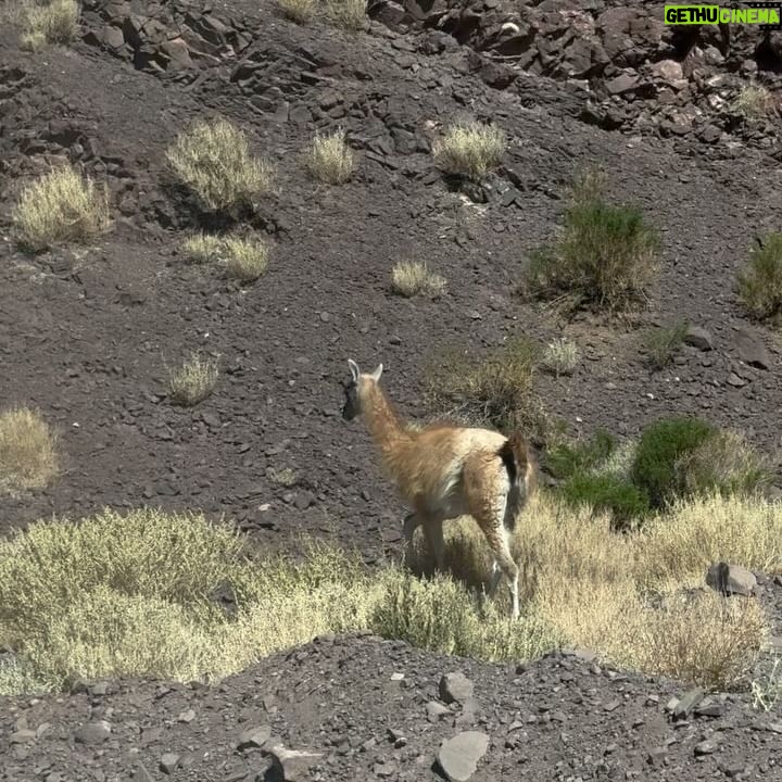 João Luiz Pedrosa Instagram - 📍Deserto do Atacama - Chile, 2024.