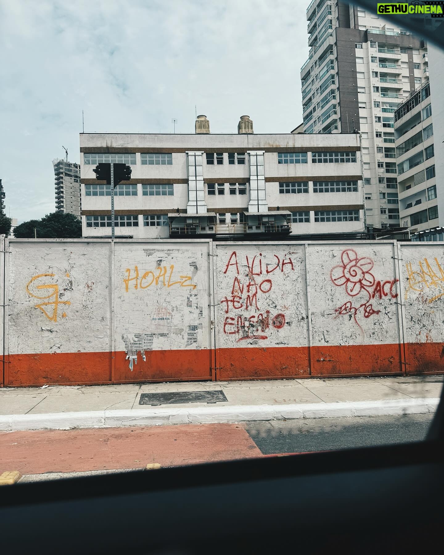 João Luiz Pedrosa Instagram - andando pela cidade - encontros e recomeços 🪻