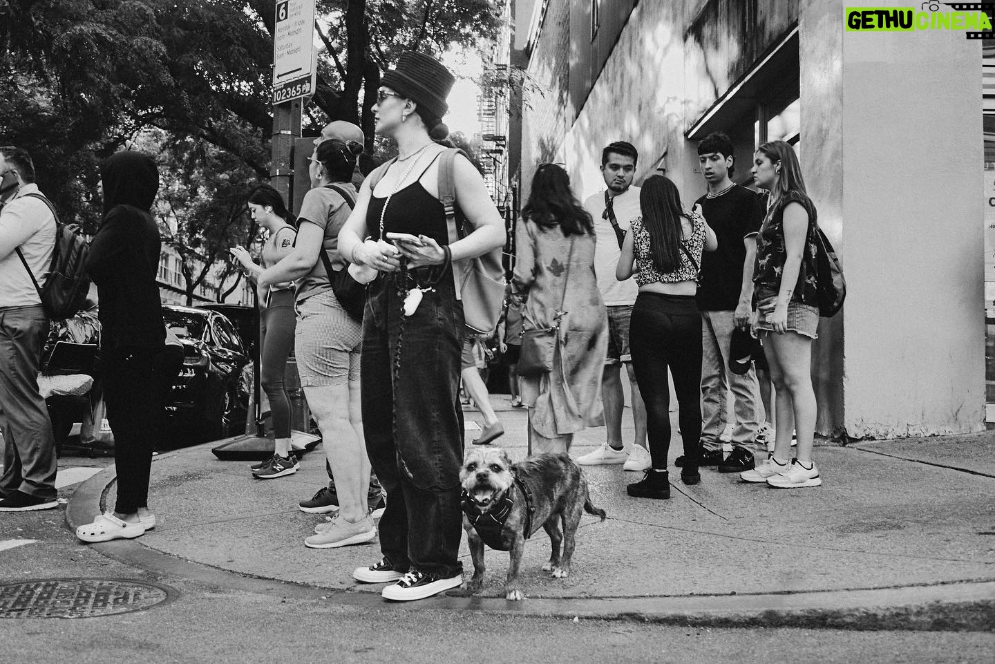JoJo Instagram - In these NYC streets with my baby. If you know me you know Agapé. We’ve been rocking for 11 years since we met at Fur Baby Rescue, a shelter in downtown LA. She was just 6 mos old- scared of virtually everything and everyone. It was such a joy to watch her over time become so unafraid, so curious, and spirited. They say our animals and children are a reflection of us… and if that’s the case I’m very proud. From the park to the theatre to the studio to dinner & drinks on a patio… she’s always right by my side- being the good’est girl ever. Nothin’ quite like the love of a dog. The girls that get it get it. Thank you to @dario.de.leon for capturing these moments.