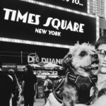 JoJo Instagram - In these NYC streets with my baby. If you know me you know Agapé. We’ve been rocking for 11 years since we met at Fur Baby Rescue, a shelter in downtown LA. She was just 6 mos old- scared of virtually everything and everyone. It was such a joy to watch her over time become so unafraid, so curious, and spirited. They say our animals and children are a reflection of us… and if that’s the case I’m very proud. From the park to the theatre to the studio to dinner & drinks on a patio… she’s always right by my side- being the good’est girl ever. Nothin’ quite like the love of a dog. The girls that get it get it. Thank you to @dario.de.leon for capturing these moments.