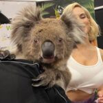 JoJo Instagram – 🐨 🥹✨ 19 years in and sometimes I still can’t believe this is my life. BLESSED to get to perform in countries as far away from home as i could have ever imagined and hang out with the most wonderful animals (and people too)