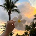 Jo Soo-min Instagram - 🌺