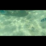 Jo Soo-min Instagram - 나는 물고기 짱 조아해🐠