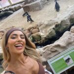 Joanna Chimonides Instagram - The best week with the best girls 🥹❤️ before having no phone, we went to the aquarium and had the funniest day!! 😂👏🏻