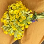 Jodie Comer Instagram – I want to give out the biggest heart felt thank you to the entire crew of ‘The Last Duel’. Here is just a few of the gorgeous gestures today made by them! I feel completely spoilt and so lucky to work with such warm and kindhearted people. To have only known each other a month and to be met with this much generosity is so overwhelming and reminds me of why I love doing what I do. THE PEOPLE! ❤️🎉🎈