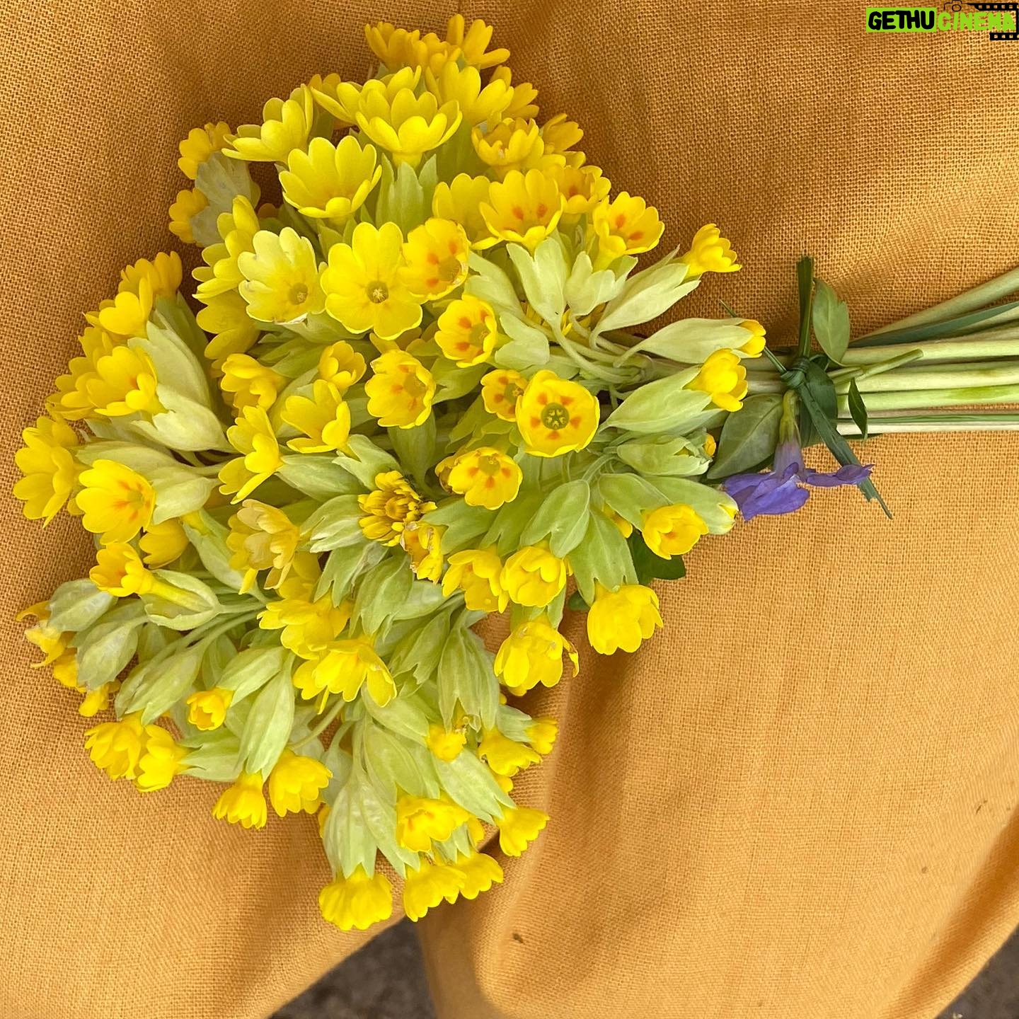 Jodie Comer Instagram - I want to give out the biggest heart felt thank you to the entire crew of ‘The Last Duel’. Here is just a few of the gorgeous gestures today made by them! I feel completely spoilt and so lucky to work with such warm and kindhearted people. To have only known each other a month and to be met with this much generosity is so overwhelming and reminds me of why I love doing what I do. THE PEOPLE! ❤️🎉🎈
