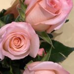 Jodie Comer Instagram – I want to give out the biggest heart felt thank you to the entire crew of ‘The Last Duel’. Here is just a few of the gorgeous gestures today made by them! I feel completely spoilt and so lucky to work with such warm and kindhearted people. To have only known each other a month and to be met with this much generosity is so overwhelming and reminds me of why I love doing what I do. THE PEOPLE! ❤️🎉🎈