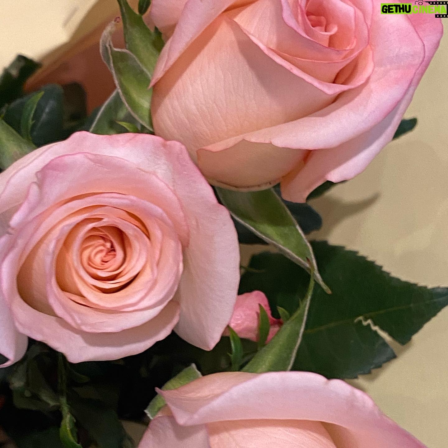 Jodie Comer Instagram - I want to give out the biggest heart felt thank you to the entire crew of ‘The Last Duel’. Here is just a few of the gorgeous gestures today made by them! I feel completely spoilt and so lucky to work with such warm and kindhearted people. To have only known each other a month and to be met with this much generosity is so overwhelming and reminds me of why I love doing what I do. THE PEOPLE! ❤️🎉🎈