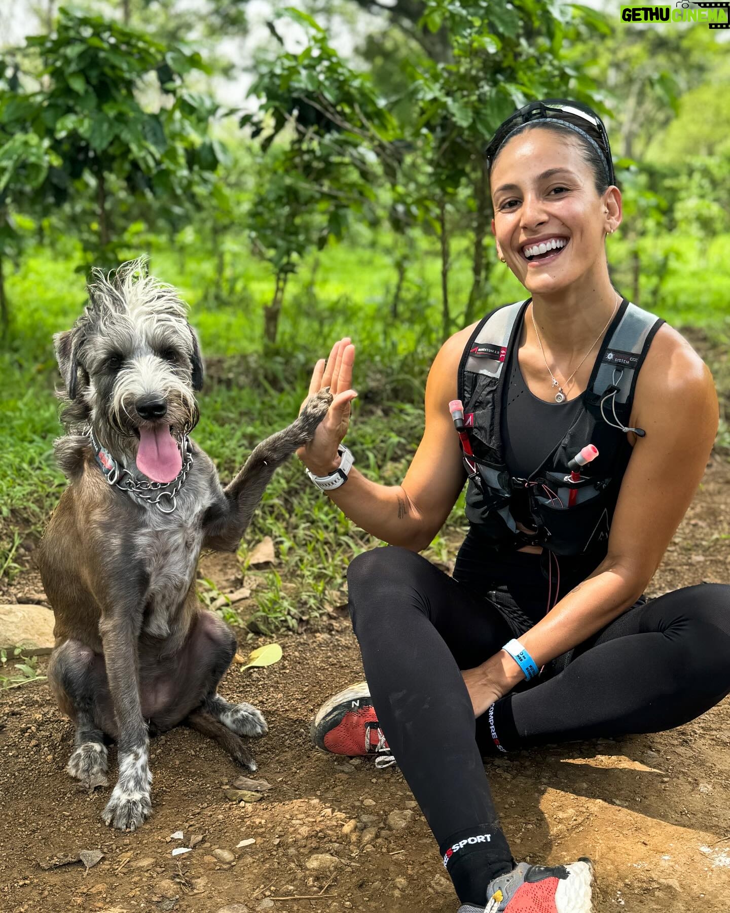 Johanna Solano - 10.4K Likes - “¡Lo logramos mamá! Chócala!” 🤣
Shaki, la rockstar de la familia además es una súper atleta! Me acompaña siempre a la montaña y aunque empezamos poco a poco hace meses, ahora corre conmigo hasta 2hrs! 😍 Y se porta increíble!
Mi alma gemela!