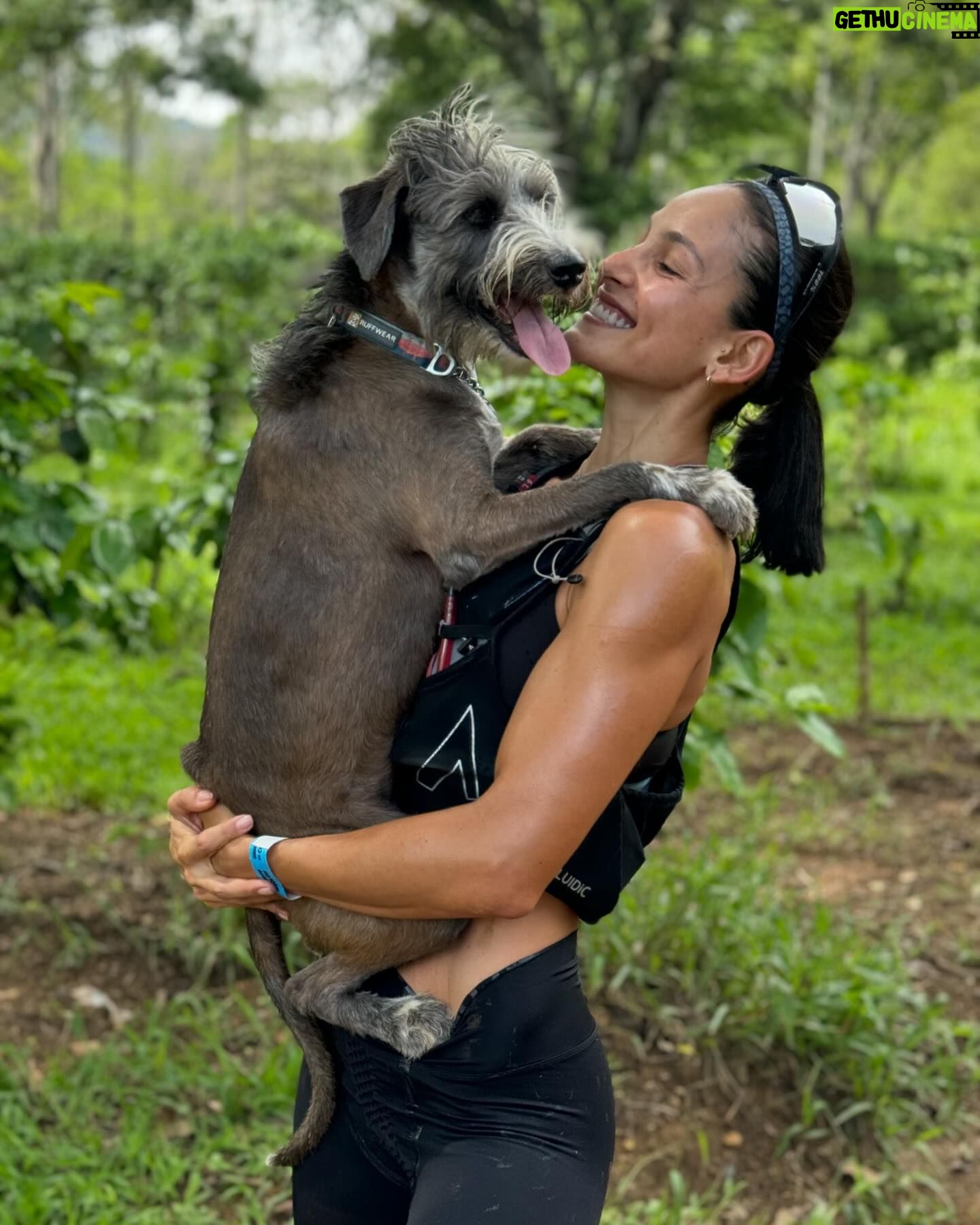 Johanna Solano - 10.4K Likes - “¡Lo logramos mamá! Chócala!” 🤣
Shaki, la rockstar de la familia además es una súper atleta! Me acompaña siempre a la montaña y aunque empezamos poco a poco hace meses, ahora corre conmigo hasta 2hrs! 😍 Y se porta increíble!
Mi alma gemela!