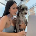Johanna Solano Instagram - Día de chinear a los peludos de la casa!! 😍 Y lo mejor de todo: sin tener que dejarlos sólos porque hice el pedido en @masxmenoscr en línea y en 120min tenía todo en la puerta de la casa! Merecido lo tenían!!! 😍😍😍 Recuerden que tienen un 5% de descuento en sus compras en línea con el código “JohaMxM”. 🙌🏽