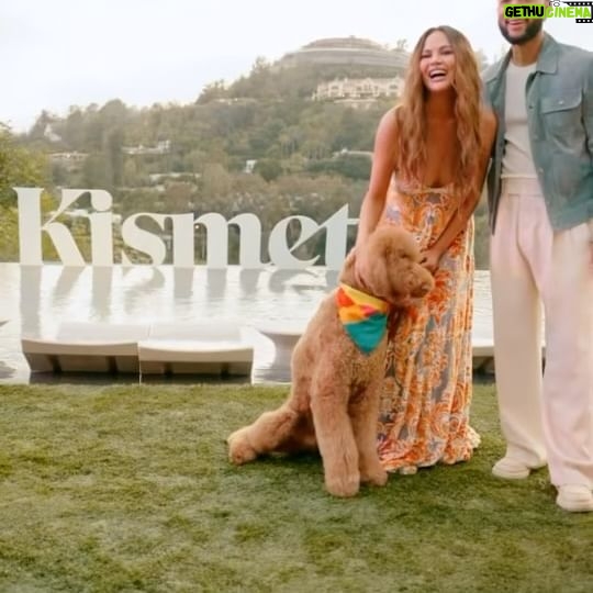 John Legend Instagram - The @kismet launch party was so beautiful and full of love! I’m so glad we’re building such a wonderful community of pet parents! Thanks to our talented @kismet team and @wifeoftheparty and all the doggies and their people who came through.