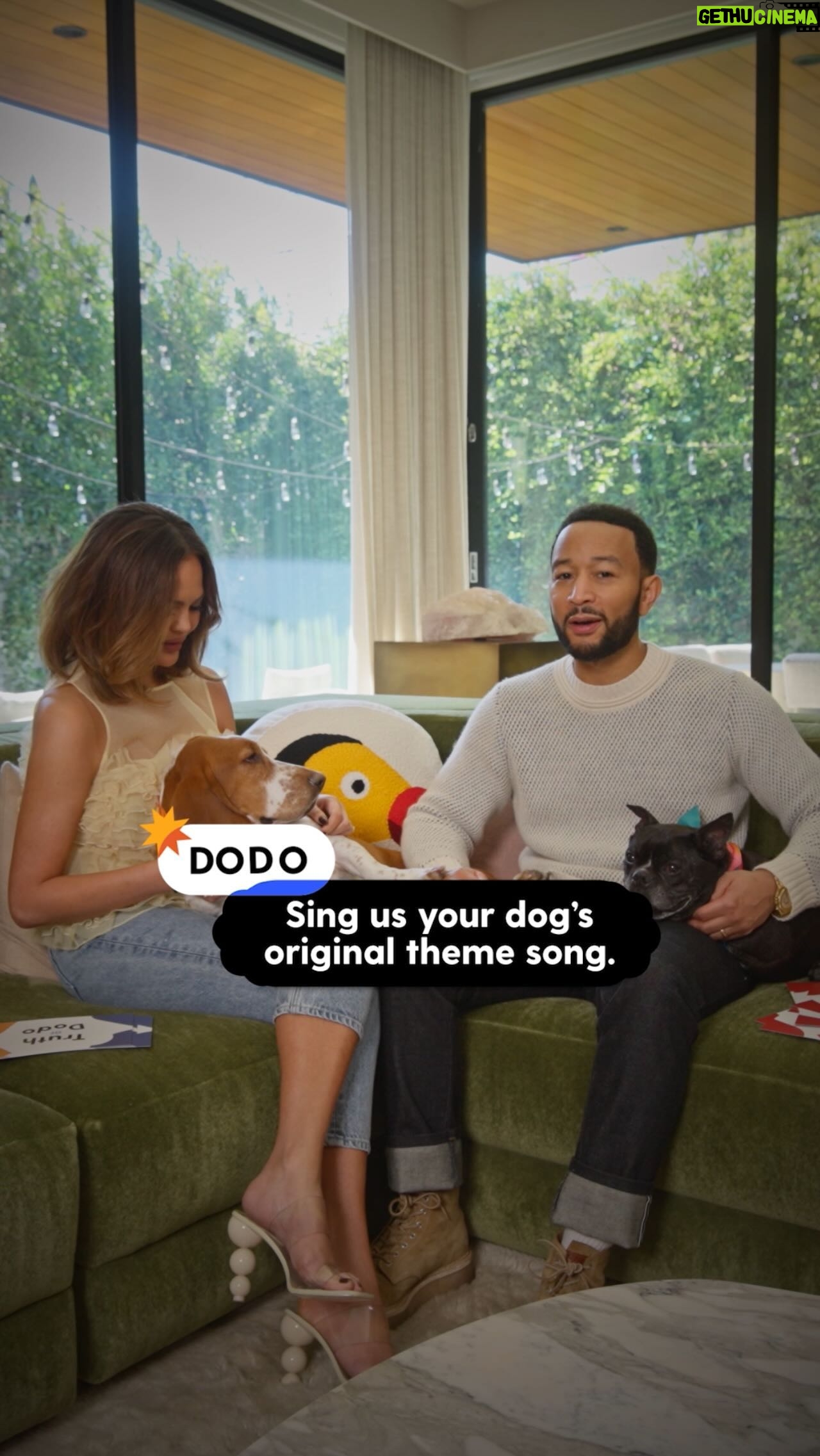 John Legend Instagram - Do all of us have custom songs for our pets? We sat down with @johnlegend and @chrissyteigen for a game of #TruthorDodo, our new series where The Dodo invites celebrities to an old-fashioned game of truth or dare... but with their dogs! Head to the link in our bio for the full episode.