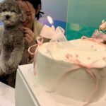 Johyun Instagram - Thank you for celebrating my birthday 🧚‍♀️🎂