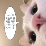 JooE Instagram - 안녕 바보들 🌟행복하세요🙃💕💫