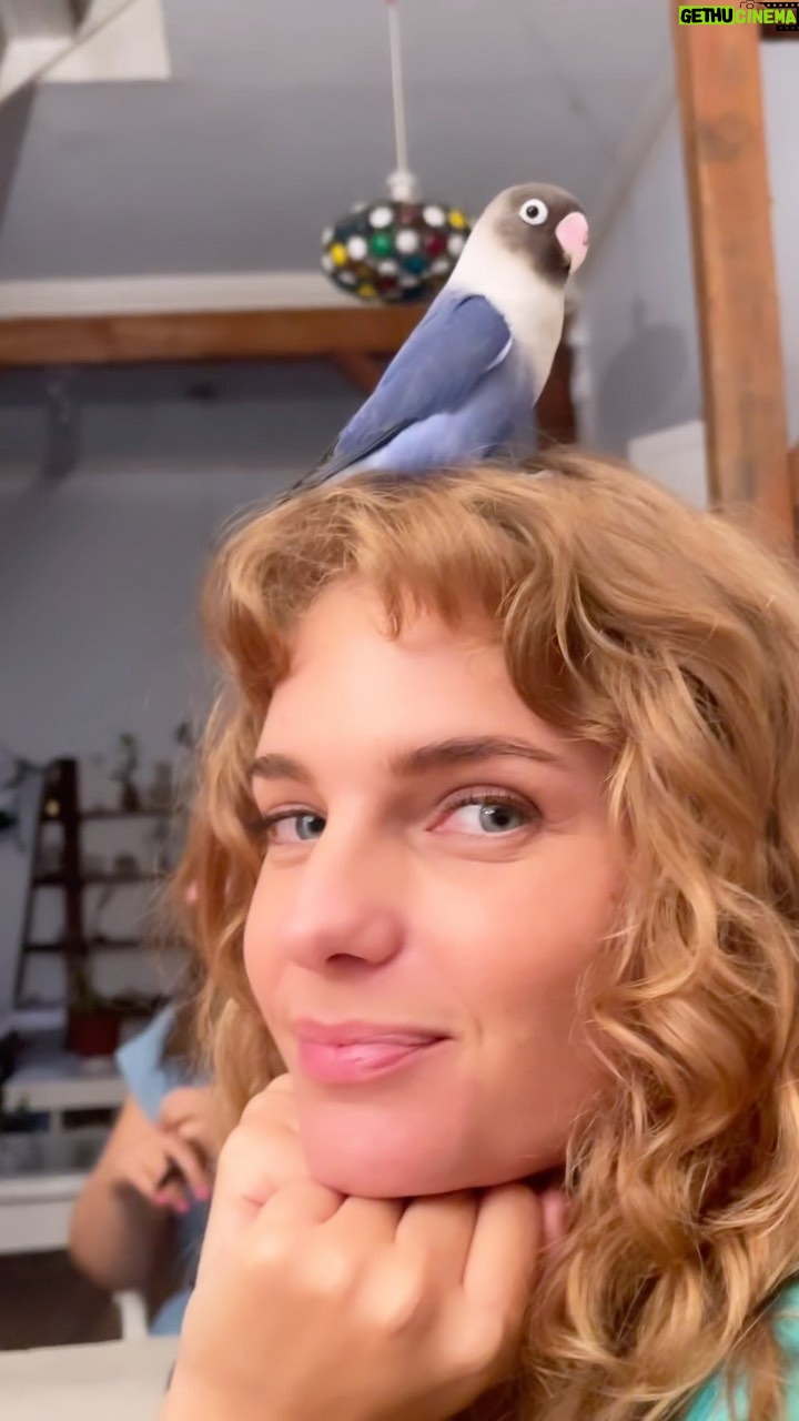 Josefina Montané - 8.3K Likes - 💙👒🐦 @benitoelpajarito