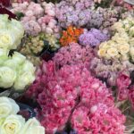 Josefine Frida Pettersen Instagram – I can’t believe I live in the same world as flowers. I love them so much🥹