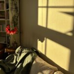 Josefine Frida Pettersen Instagram – first week of January was so bright✨