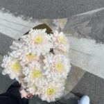 Josefine Frida Pettersen Instagram - ✨Oslo bound
