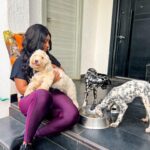 Joselyn Dumas Instagram - …Show by hand✋🏾😍 if you’re a #DogLover 🐶 ? …New addition to the family #Dalmatian and they❤️eating their pellets from @bricopet_ghana