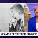 Joy Reid Instagram - Tell #rondesantis — hands off #freedomsummer ‼️‼️‼️ My rant this week on @thereidout