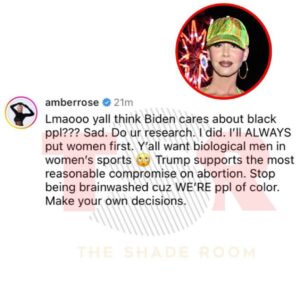 Joy Reid Instagram - Amber Rose: I’m not Black.
Also Amber Rose: listen to me as an authority on why Black folks should vote for Trump 🧐