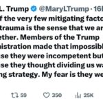 Joy Reid Instagram – @mary.l.trump on the mass trauma her uncle Donald, through his incompetent handling of the #covid pandemic and the cynicism of his #maga movement have exploited and weaponized in pursuit of permanent power.