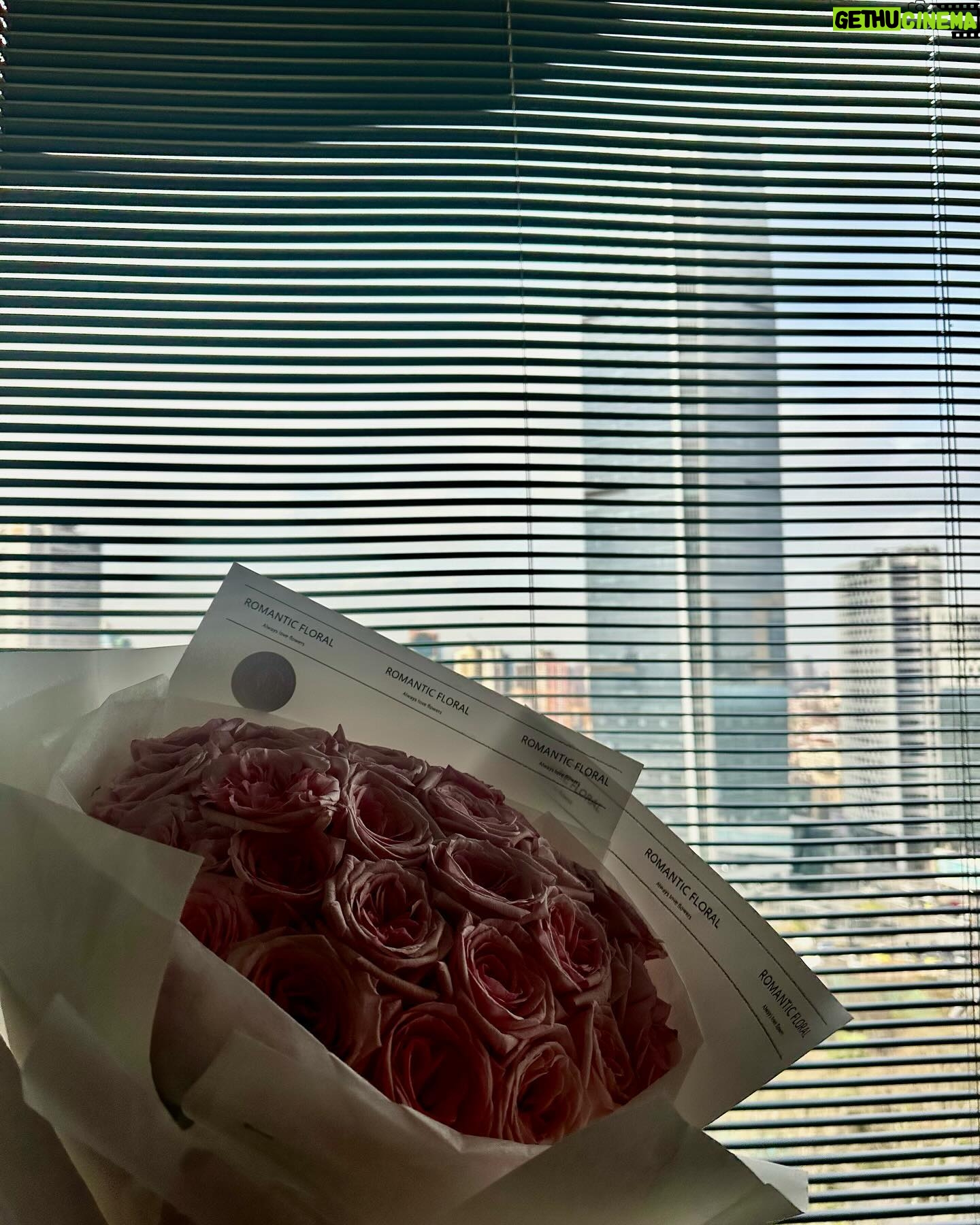 Joy Sunday Instagram - China: The Solo Traveller’s Final Boss, or How I Left My Phone in Beijing to Catch My Flight Home From Shanghai. Despite the panic attack of it all, I couldn’t think of a more fitting denouement for my at-once tempestuous yet tender time in China. I hope somehow one of the several benevolent strangers that helped me make my flight by the skin of my teeth sees this ❤️💛 Thank you for the memory. Lol. And to the newly beloveds I met—see you soon. P.S. - that first photo is incomplete without the one I took from my phone, which is now Resting in (Battery) Power in Beijing 💔 More tomorrow? 😋