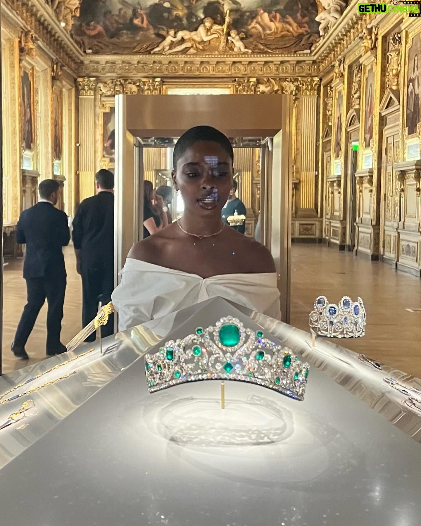 Joy Sunday - 3 Likes - I’ve only been to the louvre on tuesdays