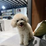 Joyce Ching Instagram – October dump because why not 🤣