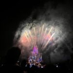 Joyce Ching Instagram – Napagod ako sa Disneyland, pero ang saya ko at nakakaiyak ang fireworks. That’s all thank you. 🤘🏼 At nahanap ko nga pala ang MU hat na matagal ko na gusto. SKL