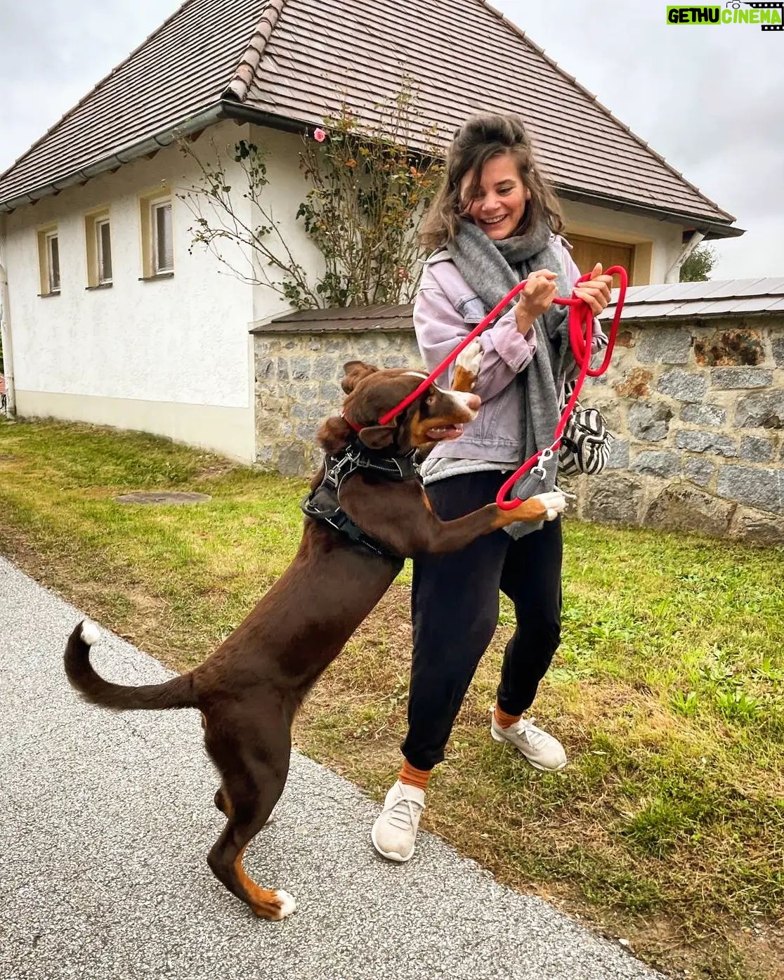 Joyce Ilg Instagram - Ich stehe zum 1. Mal im Garten des Hauses, in dem meine Omi aufgewachsen ist. Stimmt nicht ganz, ich war als Kind schon dort. Erinnere mich aber nicht mehr daran, außer an meine Uroma - die hab ich noch vor Augen. Allerdings war da, wo jetzt der Garten ist, damals ein Kartoffelacker neben dem Haus. Der süße Vierbeiner auf Bild 3 wohnt dort mittlerweile zusammen mit Omas Nichte, die ich endlich kennengelernt habe. Auf Bild 4 seht ihr meine Oma & das Haus. In meiner Story zeige ich, welcher Teil noch aussieht wie damals. Ich habe gestern eine Reise in die Vergangenheit meiner Familie & zu meinen Wurzeln gemacht, ich habe mir die Orte angeschaut & den Teil meiner großen Familie dort väterlicherseits kennengelernt, die ich aus den Erzählungen meiner Oma kenne. Es war so schön & berührend. Ich kann nur jedem empfehlen, den Geschichten der Großeltern zu lauschen und mit ihnen die Zeit bewusst zu nutzen. Ihre Geschichte hat euch geprägt. ❤ #family #oma #memories #throwback #backtotheroots #kindheit