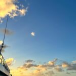 Joyce Ilg Instagram - Mein Jahr 2024 startet aufregend! 🌴🛳️ #traumschiff #atlantiküberquerung #route