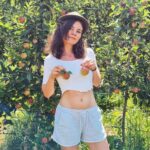 Joyce Ilg Instagram - 🍎🍏 #apples