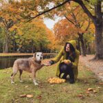 Joyce Ilg Instagram - *Werbung 🍁🍂🍏❤ fall in love with fall 🍁🍂🍏❤ Ich liebe die goldenen Herbstspaziergänge, vor allem mit Susi und Shanny 😊. Falls ihr das auch fühlt, könnt ihr mit euren tollen Herbstbildern vom 25.-31.10. an der Herbstgefühle-Challenge von @samsunggermany teilnehmen, indem ihr die Hashtags #SCWherbstgefühle und #SamsungGermany nutzt. Weitere Infos findet ihr in meiner Story. Es gibt u.a. ein paar Samsung Produkte zu gewinnen. #GalaxyZFold3 #withGalaxy #TeamGalaxy
