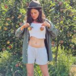 Joyce Ilg Instagram – 🍎🍏

#apples