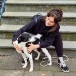Joyce Ilg Instagram – ❤🐕❤ Das ist Dexter…
#adoptdontshop