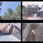 Ju Jingyi Instagram - 初夏到深秋啊