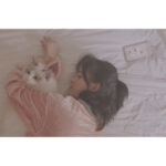 Ju Jingyi Instagram - 🐱🐱🐱