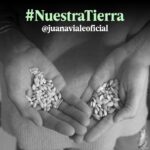 Juana Viale Instagram – Hoy quiero hablarle al millón de personas que conforman esta hermosa comunidad. Me gustaría pedirles que cada uno se convierta en un multiplicador de una situación que tanto me preocupa, les estoy hablando sobre lo que pasa en nuestros bosques nativos. 

¿Sabían que el 1,4 % de los bosques nativos del mundo están en la Argentina?. Esto significa que tenemos en nuestro territorio alrededor de 50 millones de hectáreas de bosque nativo. Es el 20% de la superficie total del país.

Pero ya perdimos el 70% de nuestros bosques nativos a causa de la deforestación. En la actualidad se deforesta aproximadamente 1 hectárea de bosque cada 2 minutos, esto equivale a 30 canchas de fútbol por hora. 

SI. Se deforesta 1 hectárea de bosque cada 2 minutos. Esta situación debe terminar.

Lamentablemente la mitad de los desmontes se realizan en lugares donde está prohibido desmontar, según la Ley de Bosque Nativo.

El 25% de las especies presentes en la Argentina se encuentra en peligro de extinción, según un estudio reciente de la UICN (Unión Internacional para la Conservación de la Naturaleza). 

Las principales razones de pérdida de biodiversidad son la destrucción y fragmentación del hábitat por el avance de la frontera agropecuaria, la caza furtiva, la introducción de especies exóticas invasoras, el cambio climático y la contaminación.

En todo el mundo aproximadamente 1.000.000 de especies son las que están en riesgo de desaparecer. 

Hagamos de las redes sociales un lugar para defender nuestra tierra. Alcemos la voz por nuestros bosques nativos.