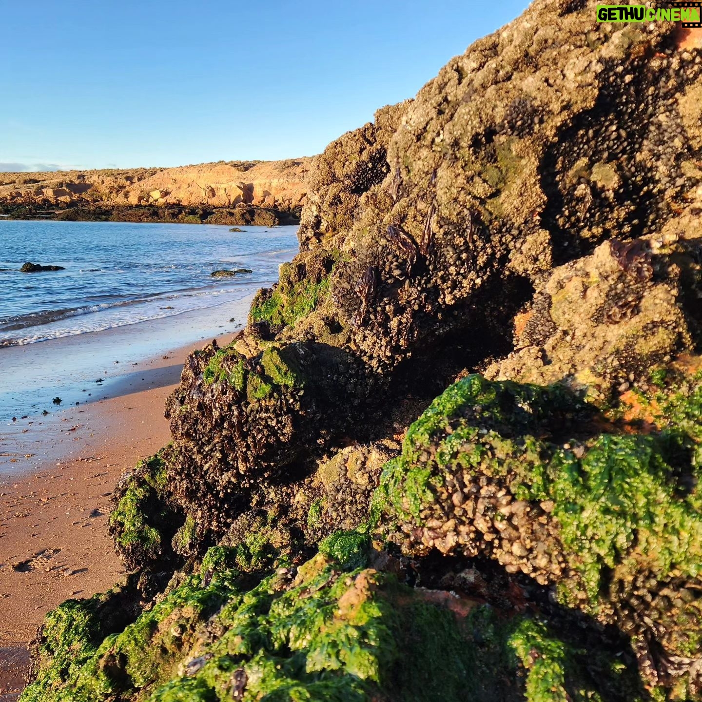 Juana Viale Instagram - Resumiendo la pregunta, ¿se puede amar lo que no se conoce? Es importante que todos, a través de los medios que tengamos, conozcamos, difundamos para así poder tener conciencia de cuidado, de protección y de conservación. Este carrete es del primer día, atardecer en algún lugar de la patagonia. Espero poder mostrarles mas y mas lugares para que, juntos, podamos entender la importancia de conservar, lo natural, lo salvaje, lo nuestro, lo de todos.
