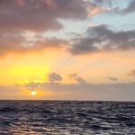 Juana Viale Instagram - Cruce del Atlántico Lo mas lindo para mi, es poder concretar sueños. Bueno, aquí es uno. Partir desde el deseo a concretarlo, se pasan varias tormentas. Hay algunos atardeceres hermosos para perpetuar pero cuando se vive en el sueño, se habita el presente, es ahí donde la magia aparece. Poder transmitir la belleza misma de la simpleza de la vida, sumar una gota limpia del océano a todos, es sumarle vida al sueño. De a dos es mas realizable, asique somos 5 arriba del barco, lo cuál lo hace mas fantástico. Cinco almas haciendo de las suyas en singular y en plural... Creo que una vez lo dije, pero lo repito, no se puede cuidar ni amar lo que no se conoce... asique aqui, transfiero mi conocimiento, descubrir para contagiar eso... que no tiene palabras. Primera expedición, si Expedición.... Canarias - Cabo Verde Cabo Verde - Fernando de Noronha Y luego... siga el baile, siga el baile!!! @blueocean.sailing