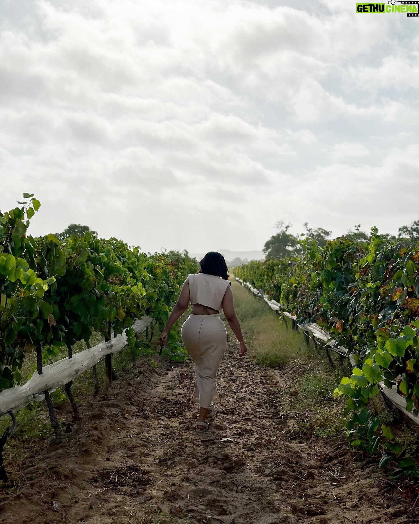Juddy da Conceição Instagram - Visitar as vinhas do Vale do Bero foi sem duvidas uma das melhores experiências que já vivi este ano. Incrível ver que apesar de estar no deserto, não têm qualquer dificuldade com a rega por conta do rio do Bero que neste momento encontra-se completamente seco mas com muita reserva , sabe Deus onde . Enfim, saber que em Angola , Namibe existe um vinho 100% nosso com muita qualidade onde por ano se tira mais de 80 000 garrafas foi um wauuu. Vale a pena visitar e fazer uma prova de vinho no @valedobero