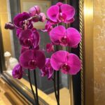 Juddy da Conceição Instagram - Este post não é apenas sobre um rosto bonito, é sobre cair, levantar, e transformar lágrimas em flores…. É sobre transformação, é sobre resiliência , no fim, é tudo sobre o que nós representamos a nós mesmas !