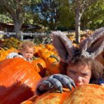 Jude Demorest Instagram – pumpkin patch szn… but let it snow