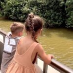 Julia Flabat Instagram - Step 4 : St Lucia Safari Boat en famille pour aller voir les hippopotames 🦛 🤩 _____________ Excursion organisée avec @tourlane Profitez du code EJ200 pour bénéficier d’un devis gratuit 200€ offerts sur votre prochain voyage avec Tourlane ! ✈️ #collaboration