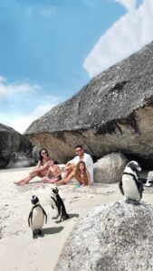 Julia Flabat Instagram - Un moment unique 😍 📍Boulders beach Step 2 La plage où tu peux chiller avec les pingouins 😍🐧 Tag la personne que tu aimerais emmener ici - Trop hâte de vous partager en story 🐧🐧🐧