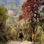 Julia Flabat Instagram - Mon kilomètre 0 à moi (partie 1)😍 Le voyage d’une vie. Je suis partie 2 semaines au Népal avec ma meilleure amie et la retraite @namaste_travel_nepal . Une envie et surtout un besoin de faire ce voyage spirituel pour moi. La 1ere semaine s’est passée dans les montagnes Himalayennes , un trek de plusieurs jours où nous sommes montées à plus de 3200 mètres. J’ai vraiment appris le dépassement de soi, j’en ai chié, un nombre de marches interminable, mais j’ai tellement été remplie de gratitude et de fierté. De joie et d’amour . Ce fut un excellent travail sur l’amour de moi d’ailleurs. Et j’en avait bien besoin. Mais j’ai surtout rencontré des personnes extraordinaires, aussi bien les porteurs et le guide qui nous accompagnaient que les habitants et enfants des villages, toujours avec une joie de vivre et un sourire magnifique, bien qu’ils ne vivent qu’avec l’essentiel. Ça m’a permis de bcp me remettre en question. Sur ma façon de vivre, mes besoins, mon essentiel. Et surtout de profiter de l’instant présent. Le bonheur ne se trouve pas dans l’objectif ou la finalité, mais dans le voyage en soit. « Le bonheur commence au kilomètre 0 » Cette 1ere semaine fut une vraie claque humainement parlant.. et la 2eme promet d’être encore plus forte en émotion spirituellement parlant. Hâte de vous partager la suite . 🥰